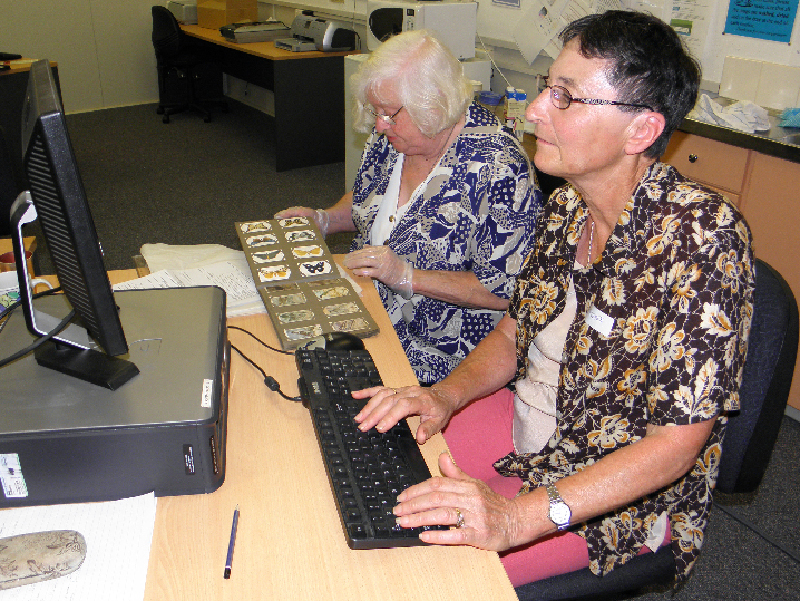 Two museum volunteers sitting in front of a pc;